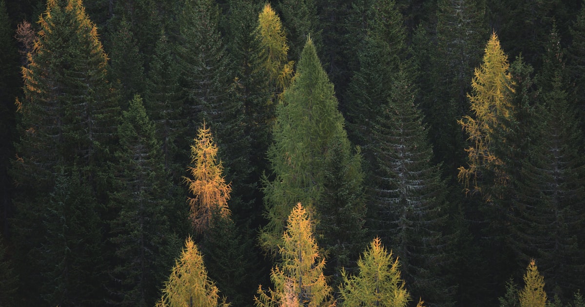 Halloween pumpkins and spooky decorations for a Halloween scrapbook